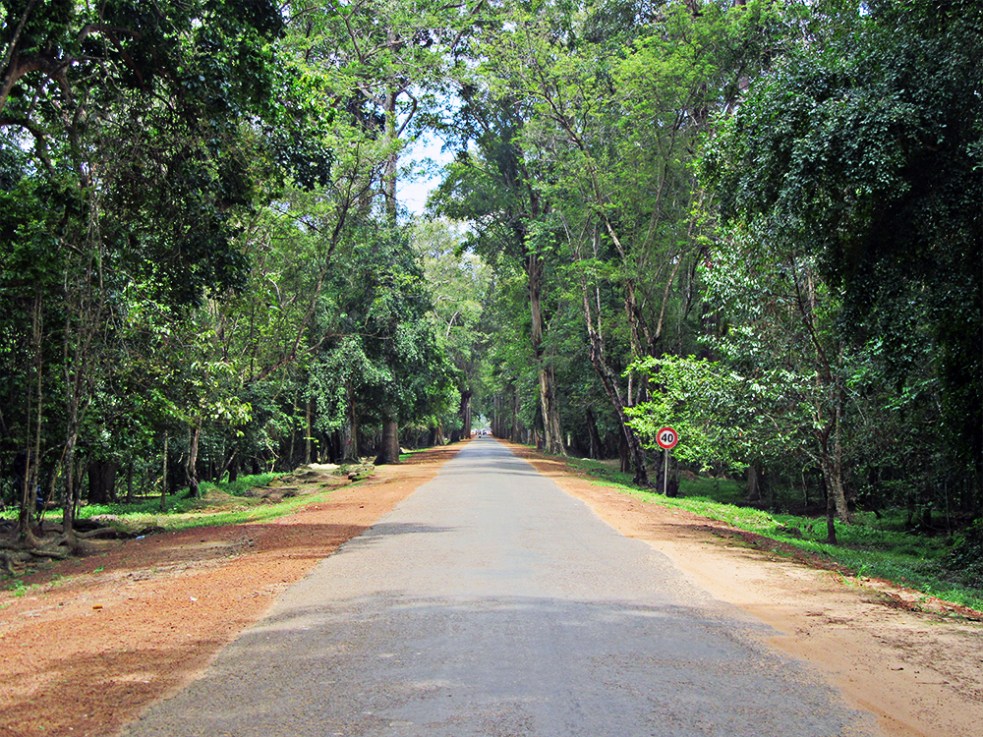 Camino a Angkor