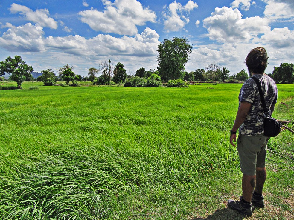 Arrozales en Battambang, Camboya
