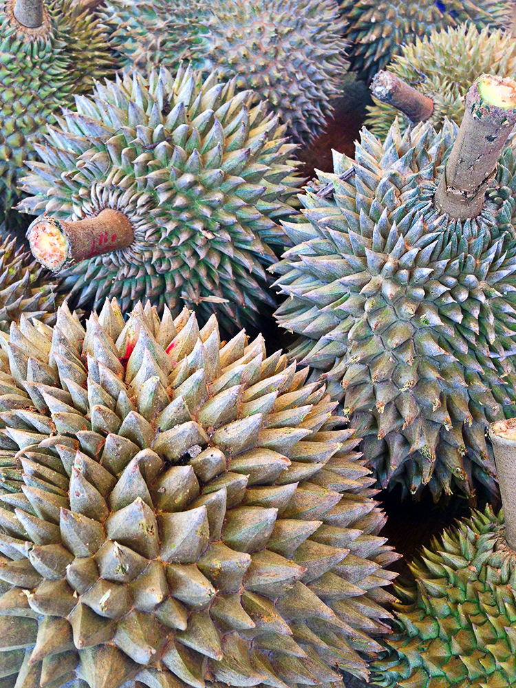 Durián en Malasia