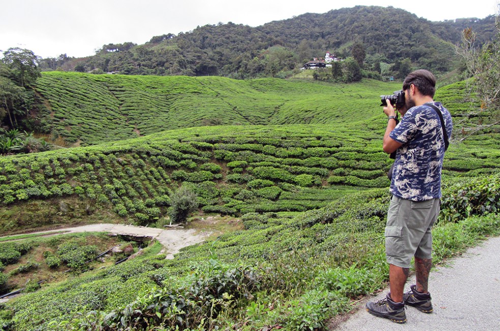 Cameron Highlands